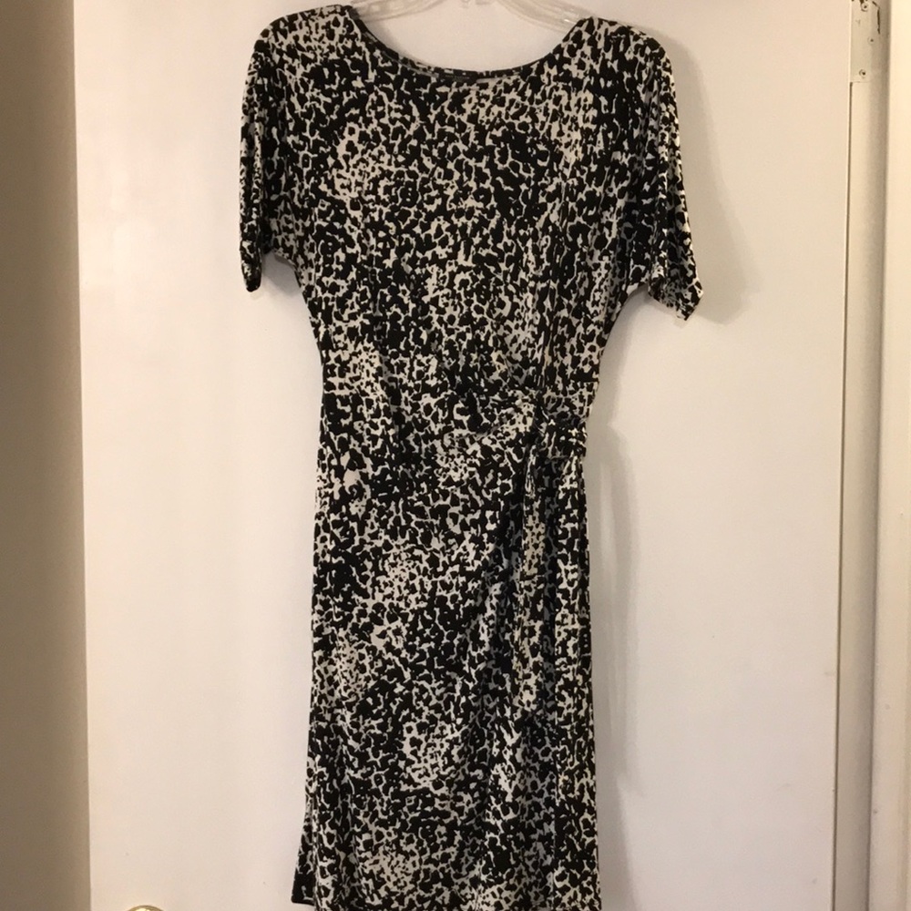 Ann Taylor Dress